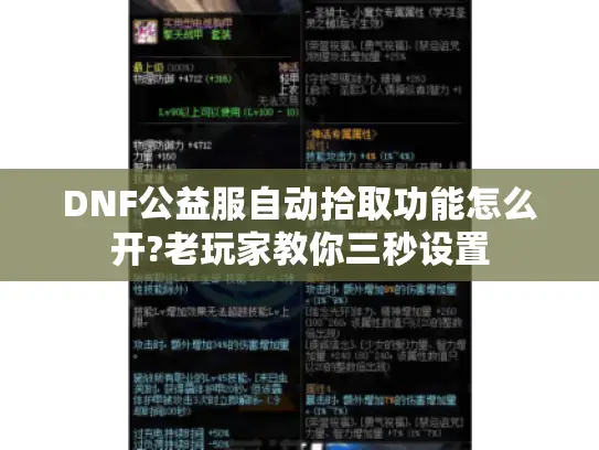 DNF公益服自动拾取功能怎么开?老玩家教你三秒设置