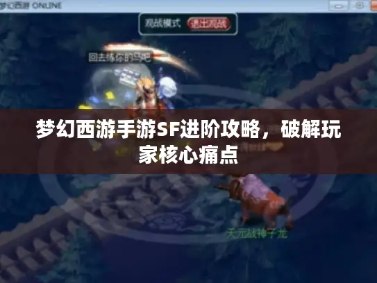 梦幻西游手游SF进阶攻略，破解玩家核心痛点