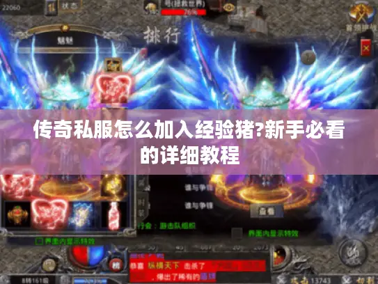 传奇私服怎么加入经验猪?新手必看的详细教程