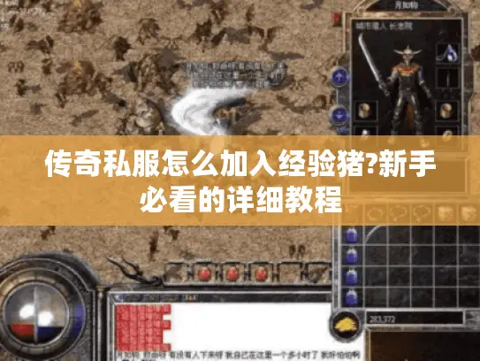 传奇私服怎么加入经验猪?新手必看的详细教程