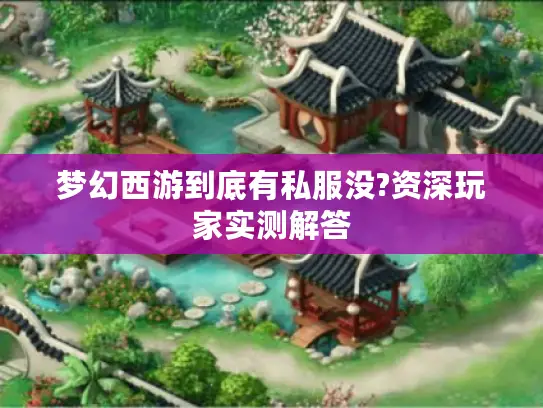 梦幻西游到底有私服没?资深玩家实测解答