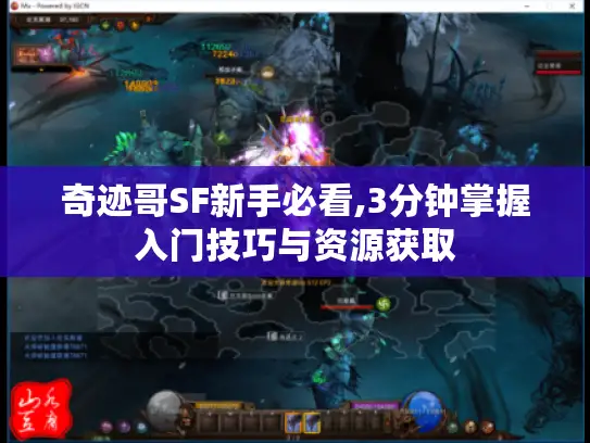 奇迹哥SF新手必看,3分钟掌握入门技巧与资源获取