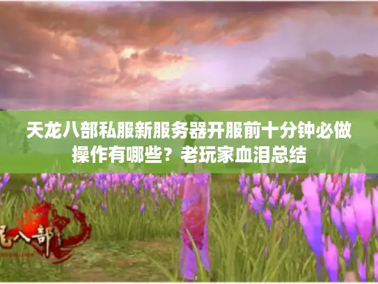 天龙八部私服新服务器开服前十分钟必做操作有哪些?老玩家血泪总结 天龙八部私服新服务器开服前十分钟必做操作有哪些?老玩家血泪总结