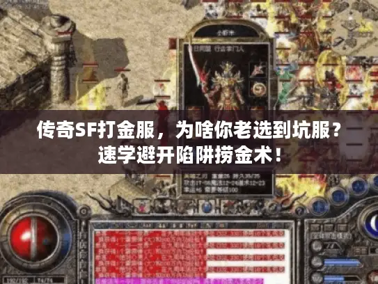 传奇SF打金服,为啥你老选到坑服?速学避开陷阱捞金术! 传奇SF打金服,为啥你老选到坑服?速学避开陷阱捞金术!
