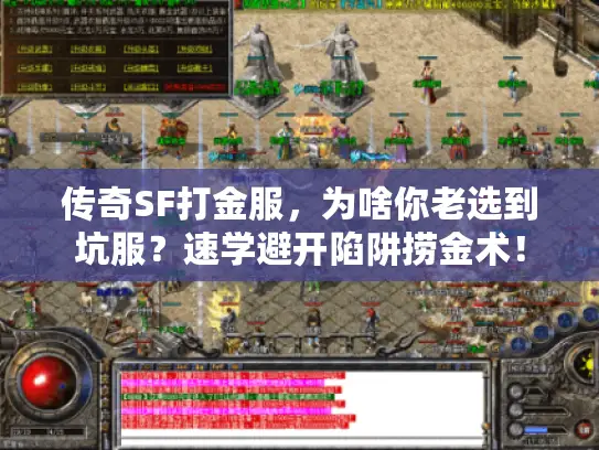 传奇SF打金服,为啥你老选到坑服?速学避开陷阱捞金术! 传奇SF打金服,为啥你老选到坑服?速学避开陷阱捞金术!