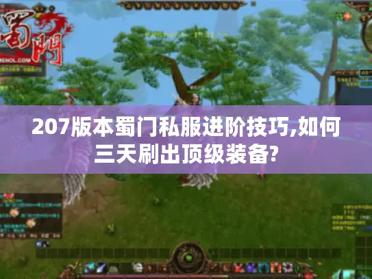 207版本蜀门私服进阶技巧,如何三天刷出顶级装备?