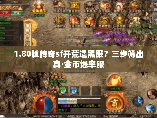 1.80版传奇sf开荒遇黑服？三步筛出真·金币爆率服