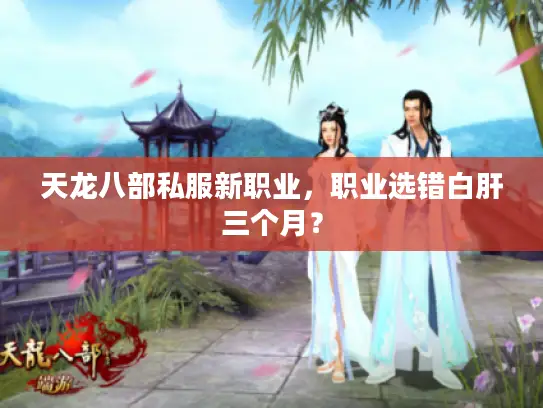 天龙八部私服新职业,职业选错白肝三个月? 天龙八部私服新职业,职业选错白肝三个月?