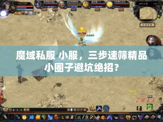 魔域私服 小服,三步速筛精品小圈子避坑绝招? 魔域私服 小服,三步速筛精品小圈子避坑绝招?