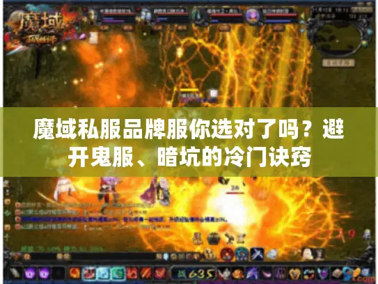 魔域私服品牌服你选对了吗?避开鬼服、暗坑的冷门诀窍 魔域私服品牌服你选对了吗?避开鬼服、暗坑的冷门诀窍