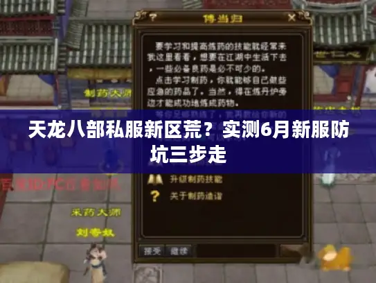 天龙八部私服新区荒？实测6月新服防坑三步走