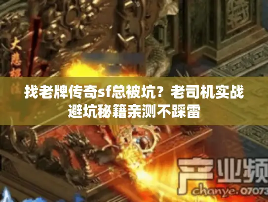 找老牌传奇sf总被坑？老司机实战避坑秘籍亲测不踩雷