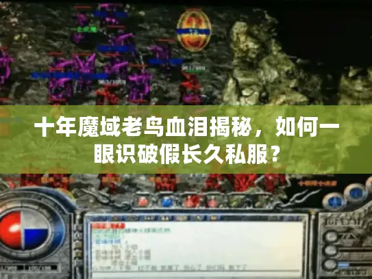 十年魔域老鸟血泪揭秘，如何一眼识破假长久私服？