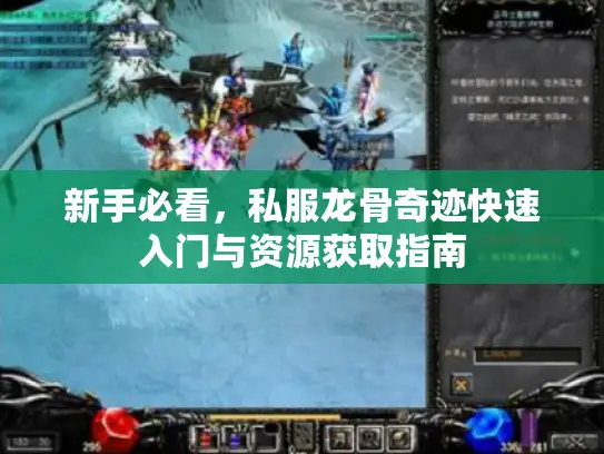 新手必看,私服龙骨奇迹快速入门与资源获取指南 新手必看,私服龙骨奇迹快速入门与资源获取指南