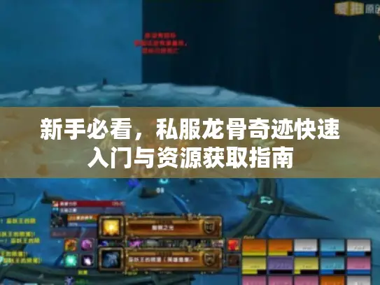 新手必看,私服龙骨奇迹快速入门与资源获取指南 新手必看,私服龙骨奇迹快速入门与资源获取指南