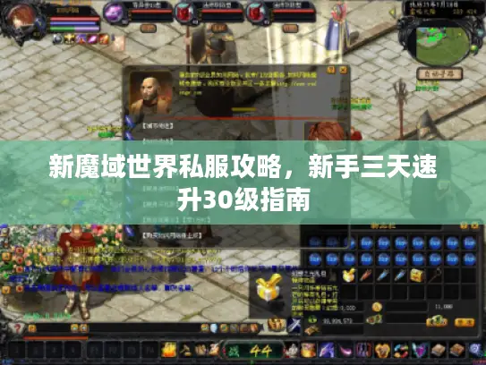 新魔域世界私服攻略，新手三天速升30级指南