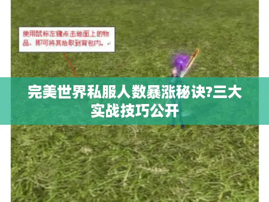完美世界私服人数暴涨秘诀?三大实战技巧公开