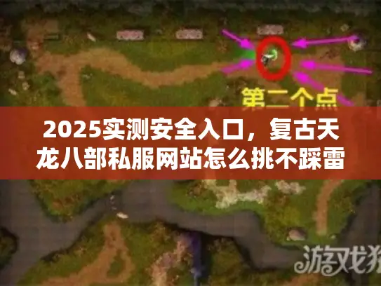 2025实测安全入口，复古天龙八部私服网站怎么挑不踩雷？