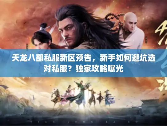 天龙八部私服新区预告，新手如何避坑选对私服？独家攻略曝光