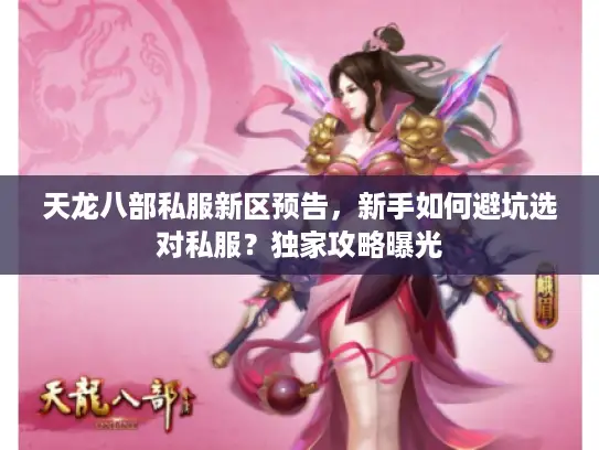 天龙八部私服新区预告，新手如何避坑选对私服？独家攻略曝光