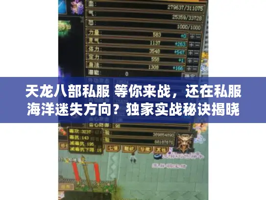 天龙八部私服 等你来战，还在私服海洋迷失方向？独家实战秘诀揭晓
