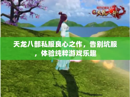 天龙八部私服良心之作，告别坑服，体验纯粹游戏乐趣