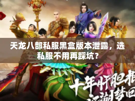 天龙八部私服黑盒版本泄露，选私服不用再踩坑？