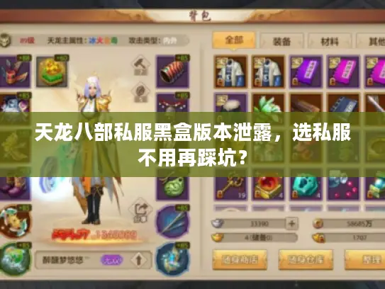 天龙八部私服黑盒版本泄露，选私服不用再踩坑？