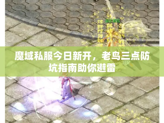 魔域私服今日新开，老鸟三点防坑指南助你避雷
