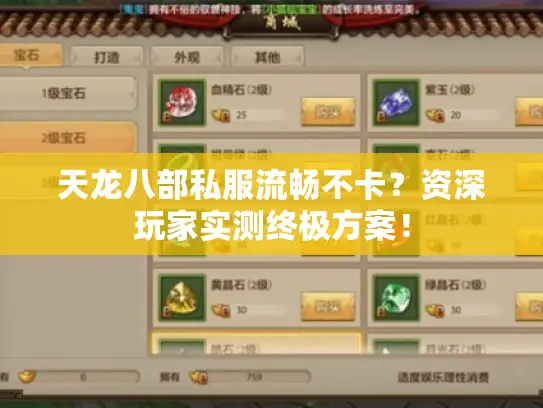 天龙八部私服流畅不卡？资深玩家实测终极方案！