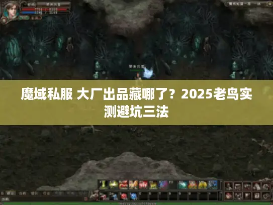魔域私服 大厂出品藏哪了？2025老鸟实测避坑三法
