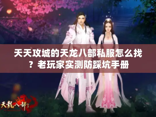 天天攻城的天龙八部私服怎么找？老玩家实测防踩坑手册