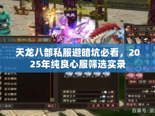 天龙八部私服避暗坑必看，2025年纯良心服筛选实录