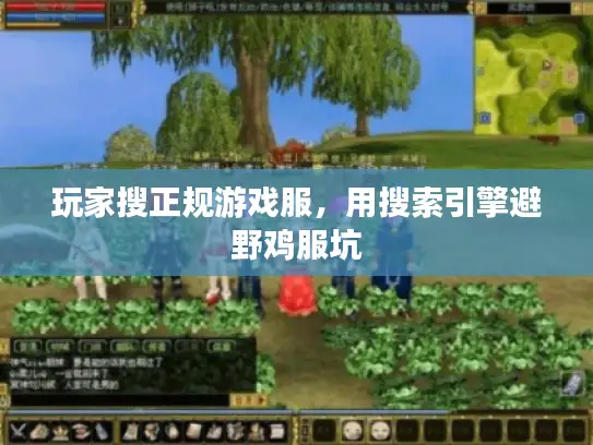 玩家搜正规游戏服，用搜索引擎避野鸡服坑