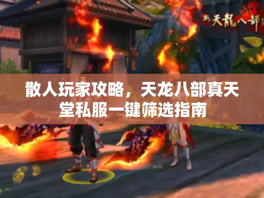 散人玩家攻略，天龙八部真天堂私服一键筛选指南