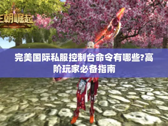 完美国际私服控制台命令有哪些?高阶玩家必备指南