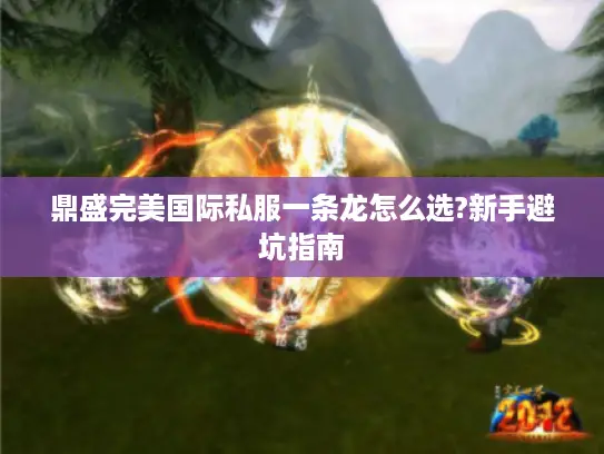 鼎盛完美国际私服一条龙怎么选?新手避坑指南