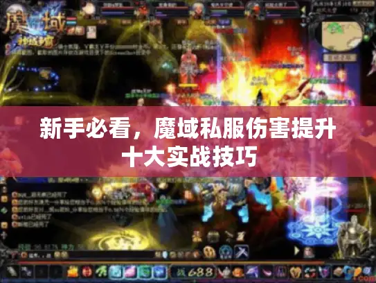 新手必看,魔域私服伤害提升十大实战技巧 新手必看,魔域私服伤害提升十大实战技巧