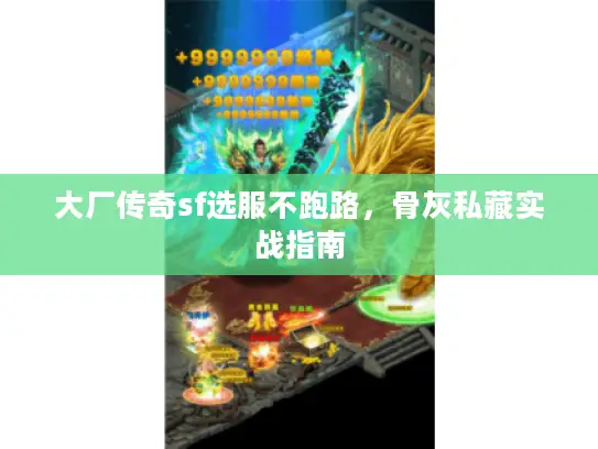 大厂传奇sf选服不跑路，骨灰私藏实战指南
