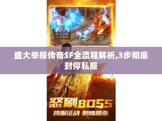 盛大举报传奇SF全流程解析,3步彻底封停私服