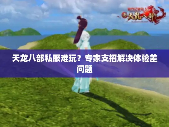 天龙八部私服难玩？专家支招解决体验差问题