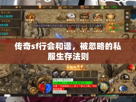 传奇sf行会和谐，被忽略的私服生存法则