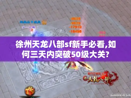 徐州天龙八部sf新手必看,如何三天内突破50级大关?