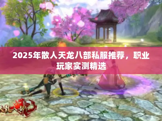2025年散人天龙八部私服推荐，职业玩家实测精选