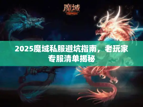 2025魔域私服避坑指南，老玩家专服清单揭秘