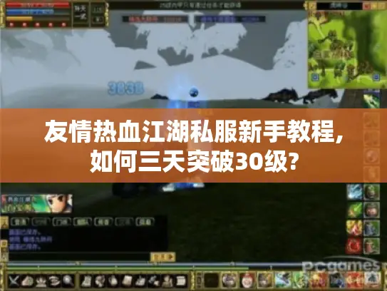 友情热血江湖私服新手教程,如何三天突破30级? 友情热血江湖私服新手教程,如何三天突破30级?