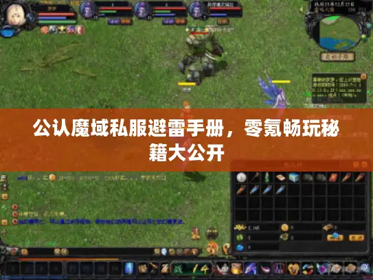 公认魔域私服避雷手册，零氪畅玩秘籍大公开