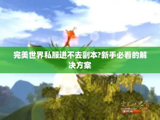 完美世界私服进不去副本?新手必看的解决方案