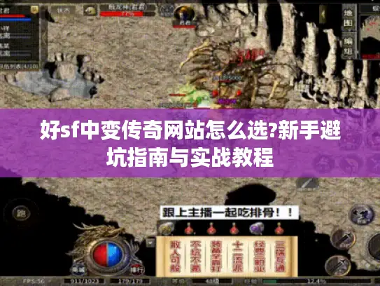 好sf中变传奇网站怎么选?新手避坑指南与实战教程