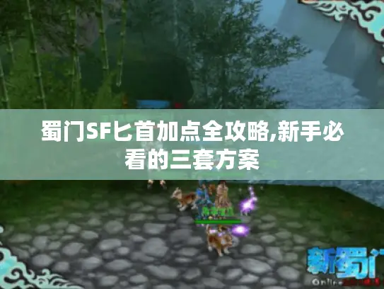 蜀门SF匕首加点全攻略,新手必看的三套方案
